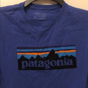 Patagonia Shirt